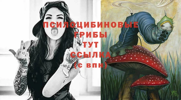 скорость Ладушкин