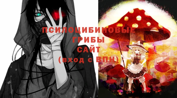 PSILOCYBIN Куйбышев