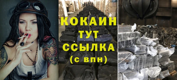 скорость Ладушкин