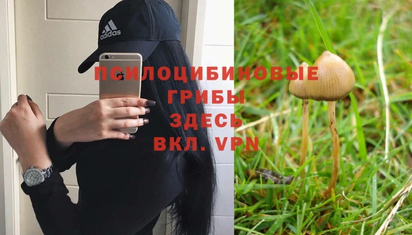 гидра Кукмор
