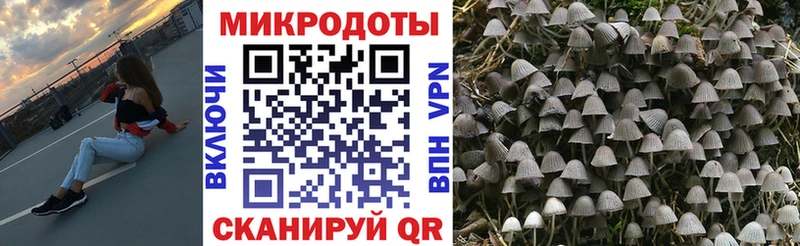 Псилоцибиновые грибы мицелий  купить   Ирбит 